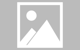 大连论文网站建设（网站建设的论文）